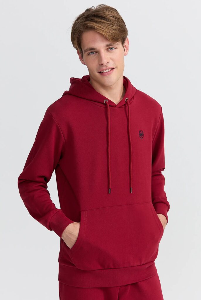 Charles : Sweat à Capuche Avec Logo Emblématique Brodé - 12