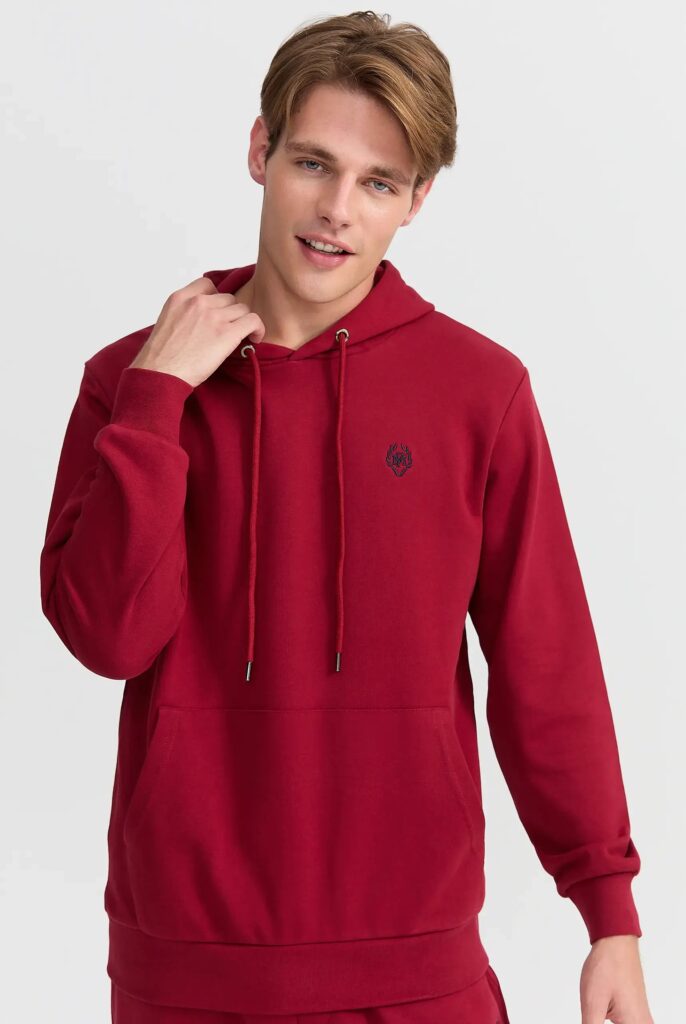 Charles : Sweat à Capuche Avec Logo Emblématique Brodé - 13