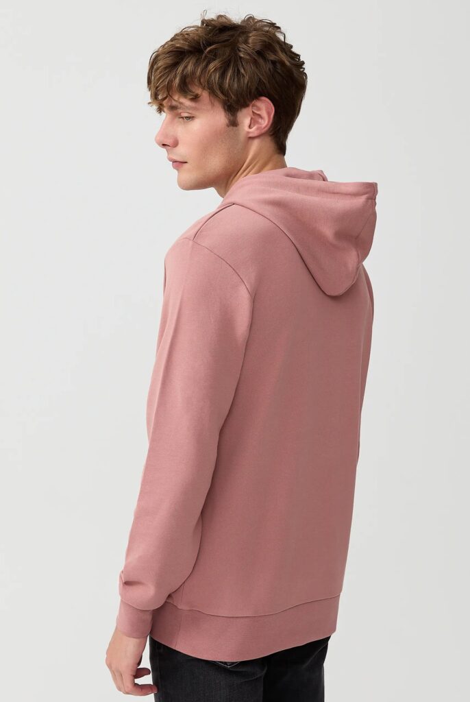 Corbin : Sweat à Capuche Avec Logo Brodé - 60