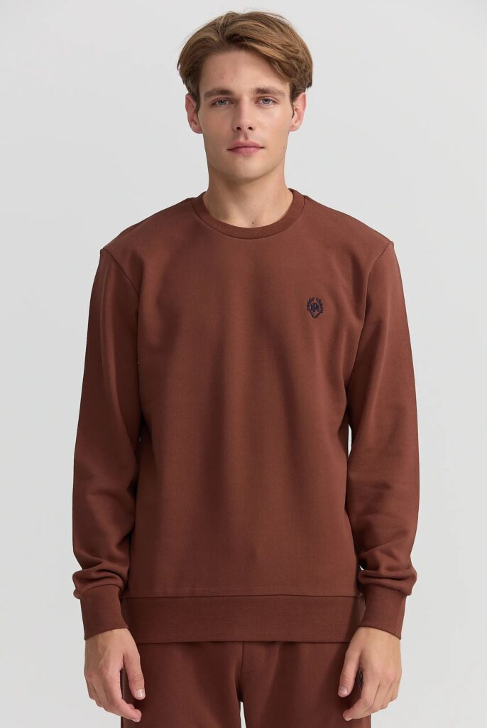 Faure : Sweat Brodé du Logo Emblématique - 41