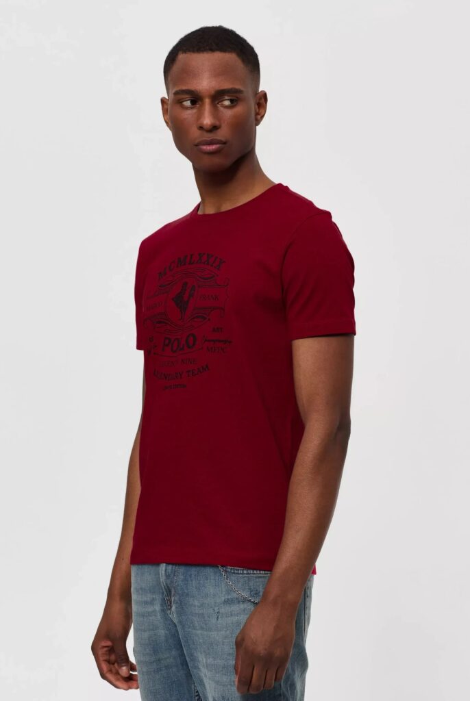 Paul : T-Shirt avec Imprimé Coq - 22